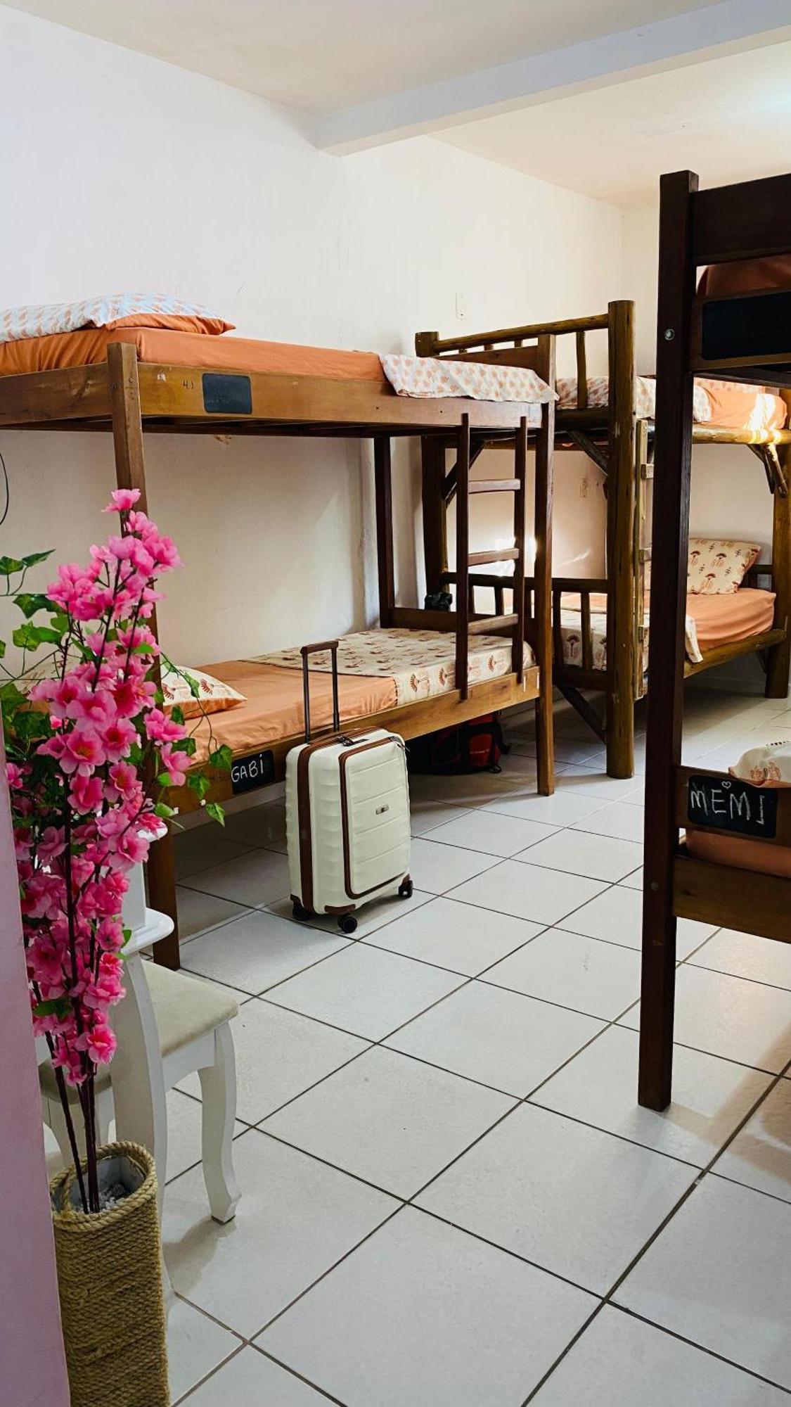 Florianópolis Pequi Hostel المظهر الخارجي الصورة