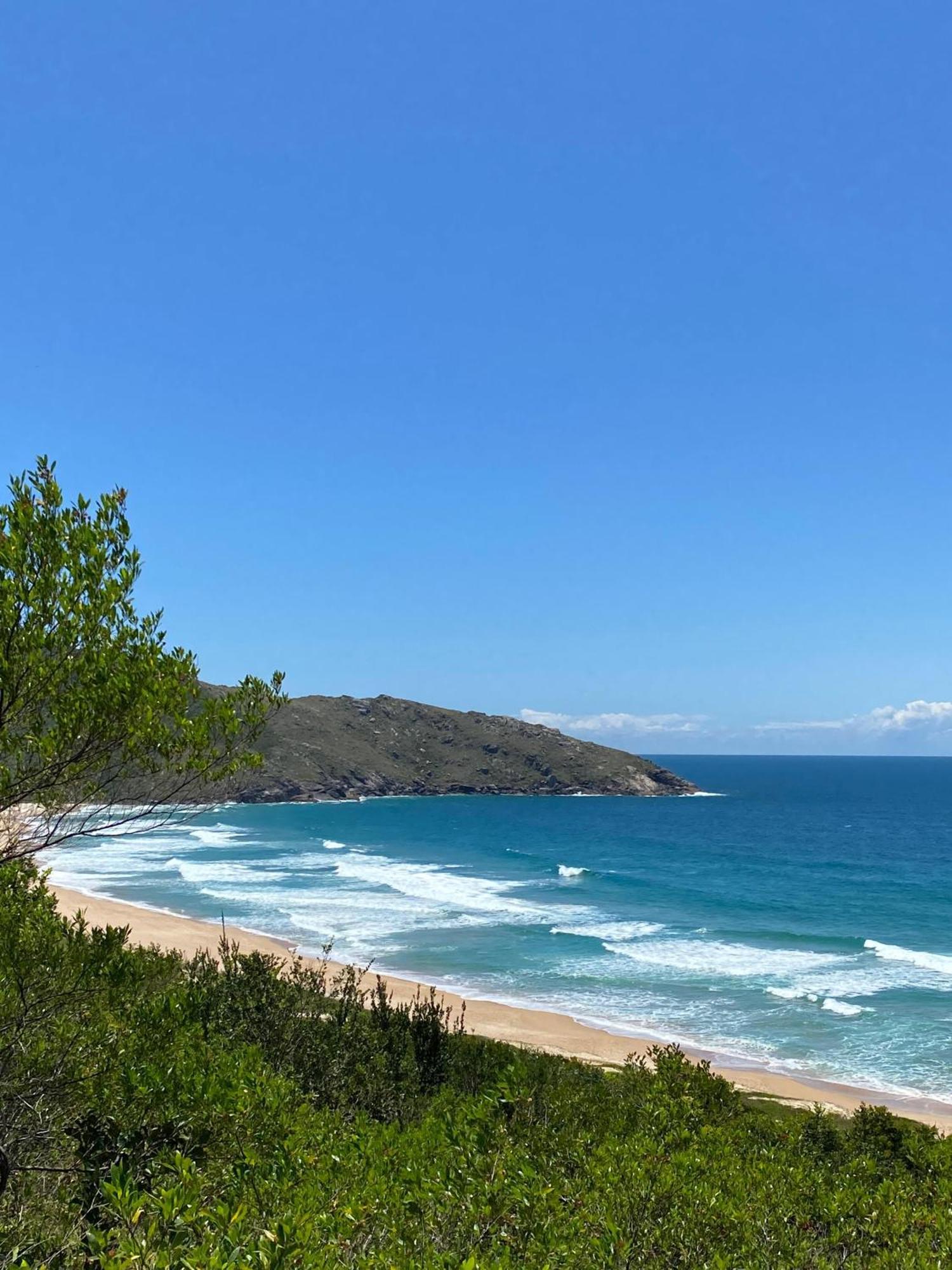 Florianópolis Pequi Hostel المظهر الخارجي الصورة