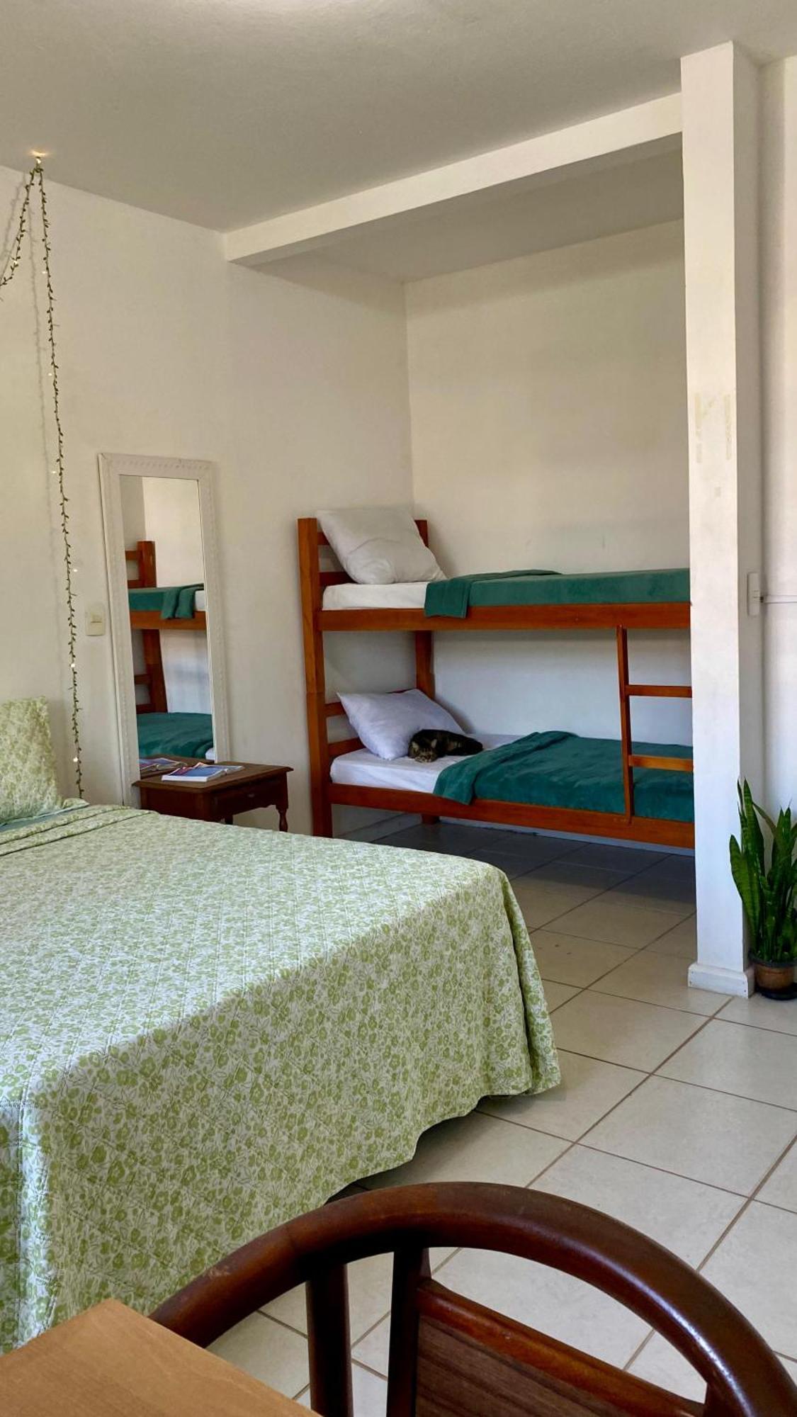 Florianópolis Pequi Hostel المظهر الخارجي الصورة